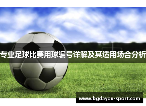 专业足球比赛用球编号详解及其适用场合分析